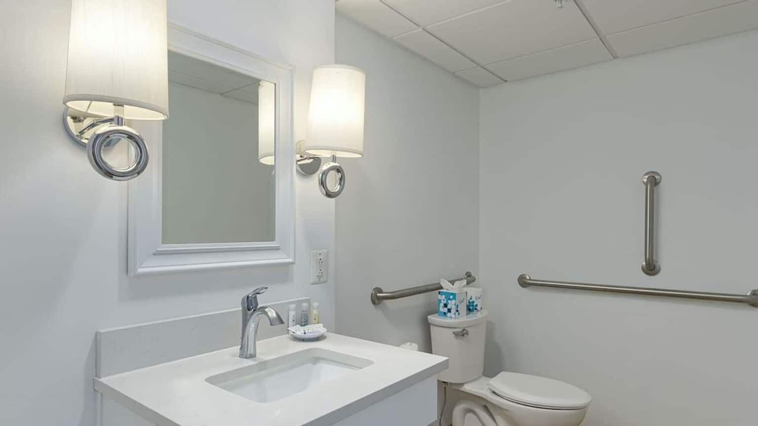 Premium king suite ADA hotel room accessible bathroom