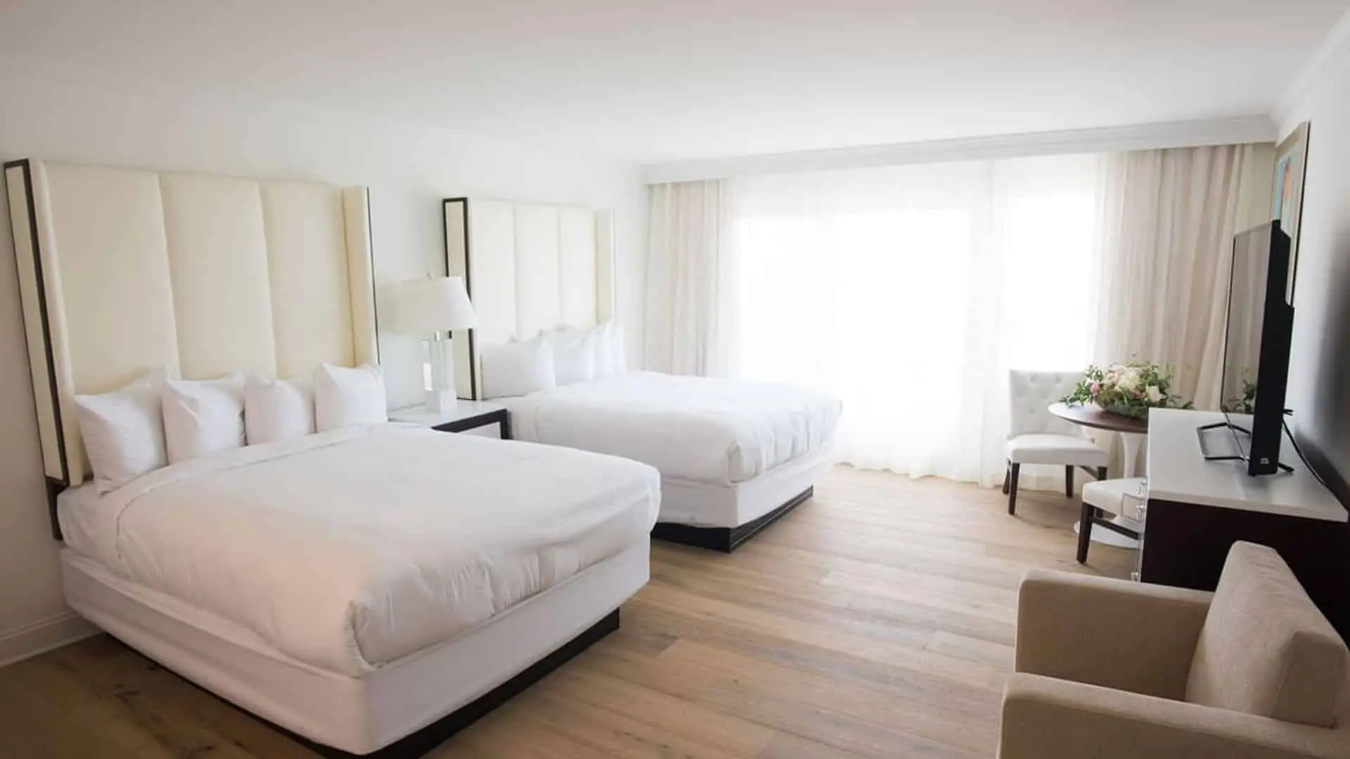 Premium queen studio hotel room