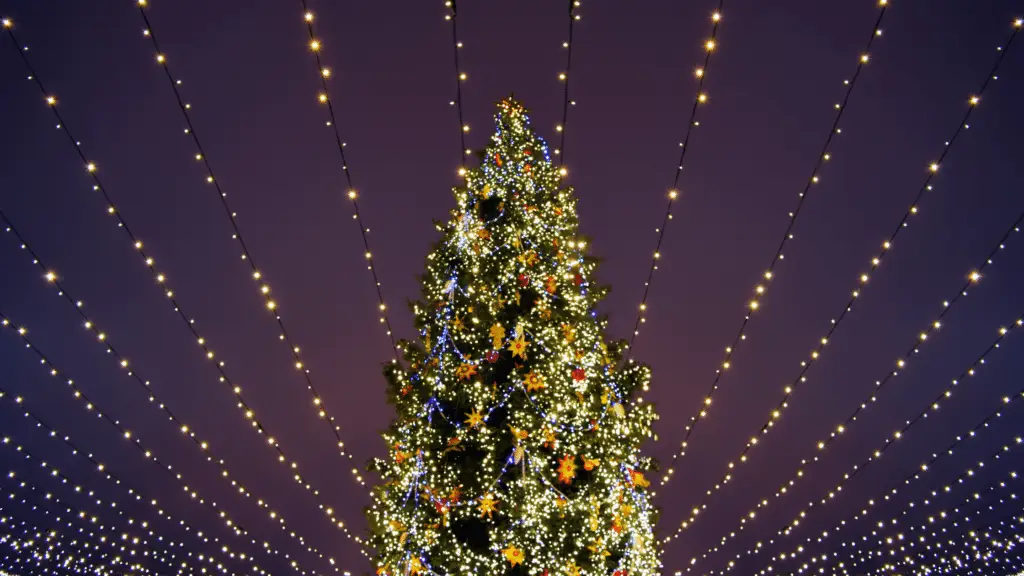 Christmas tree in Cape May