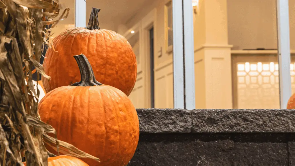 Pumpkins outside of ICONA Diamond Beach