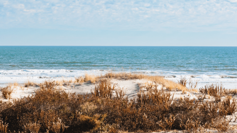 Tranquil view of the ocean in Avalon, NJ